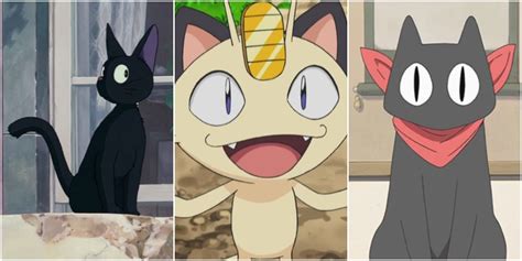 anime cat|famous anime cats.